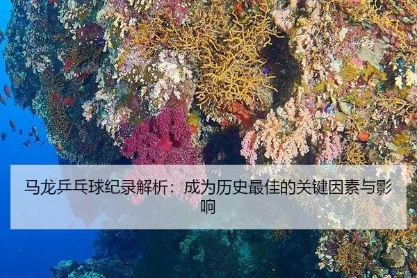马龙乒乓球纪录解析：成为历史最佳的关键因素与影响